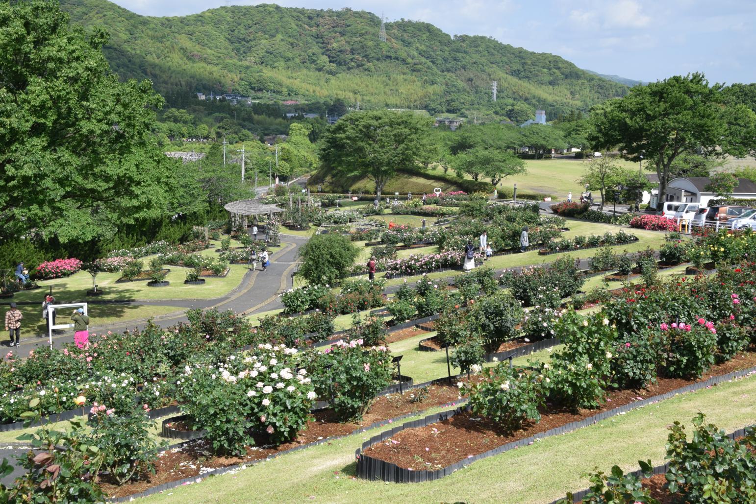 錦江灣公園-1