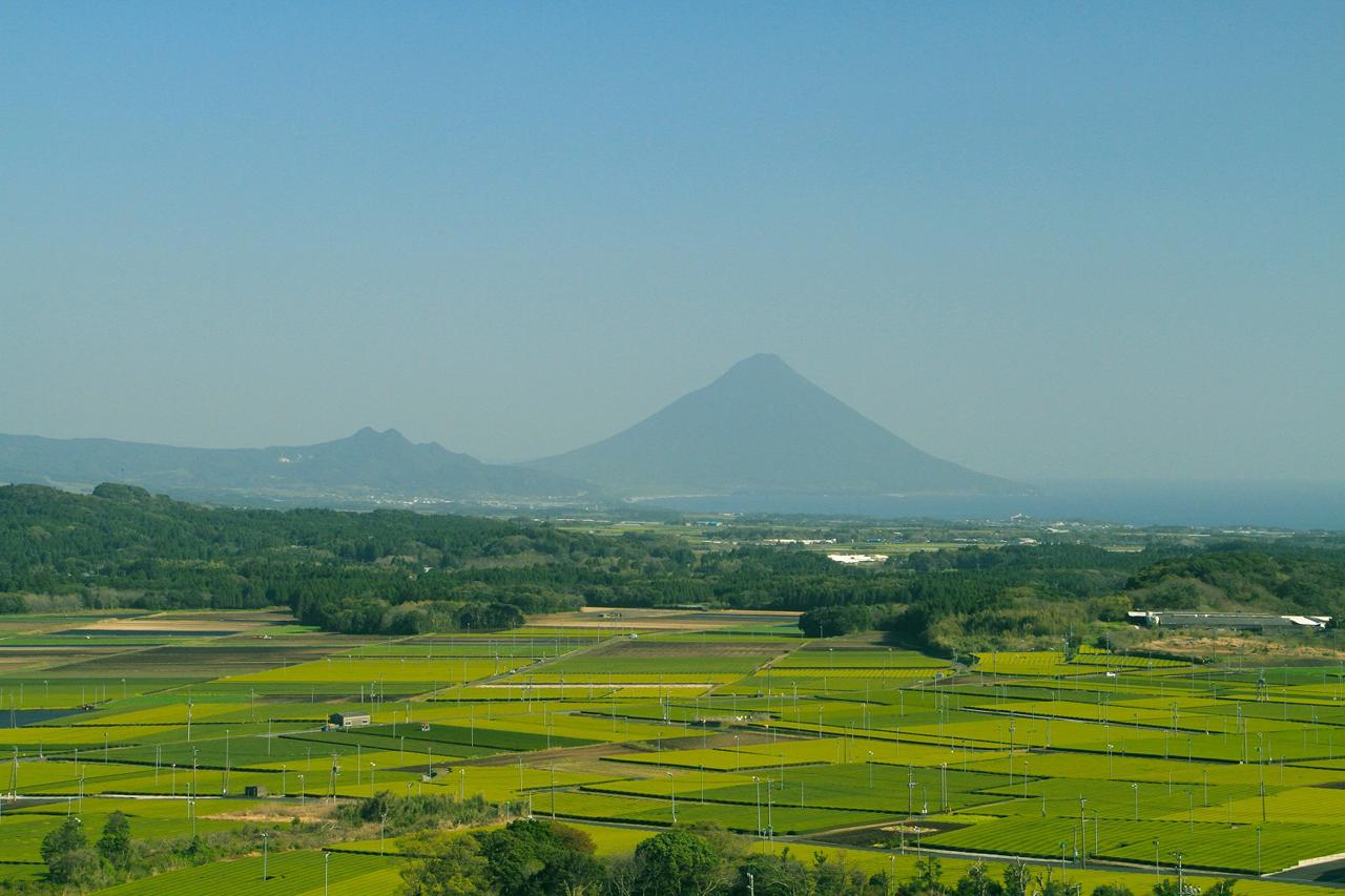 高塚の丘、塗木製茶工場（見学・直販）-1