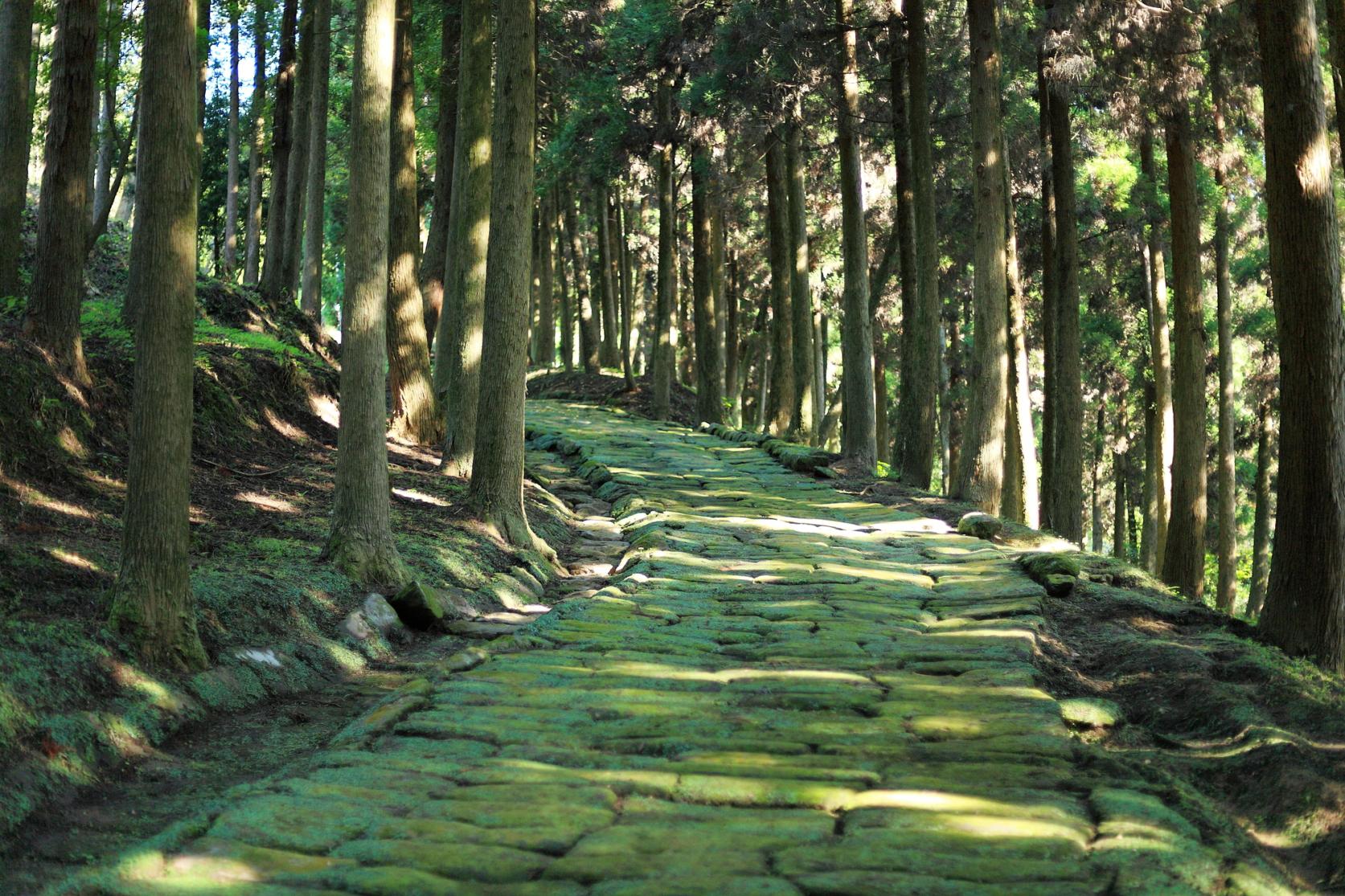 龍門司坂、龍門滝-1