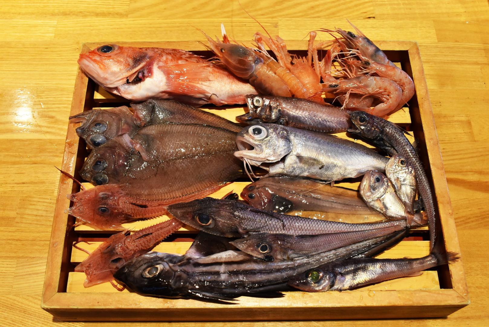 Fresh fish of the season in Kagoshima, seafood mecca-0