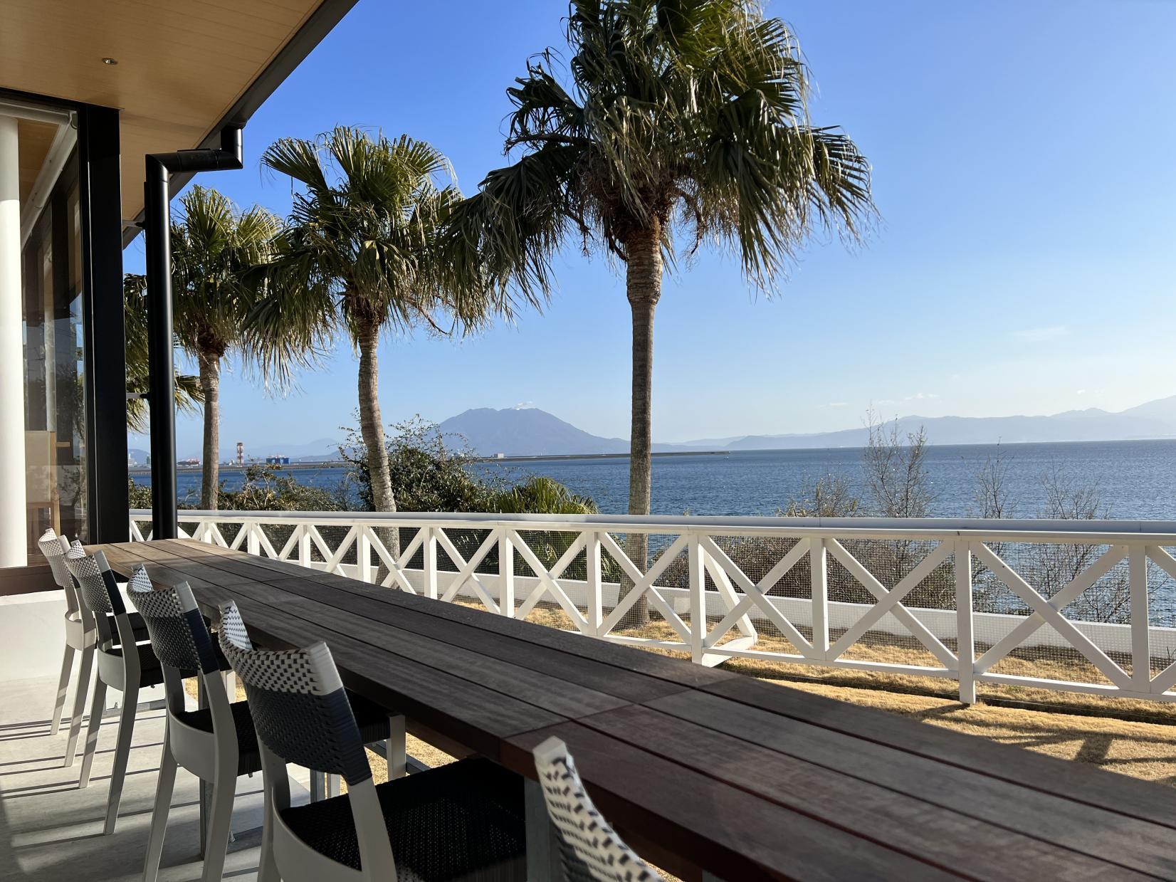 Lunch with a view of Sakurajima: our top 5 cafe recommendations-0