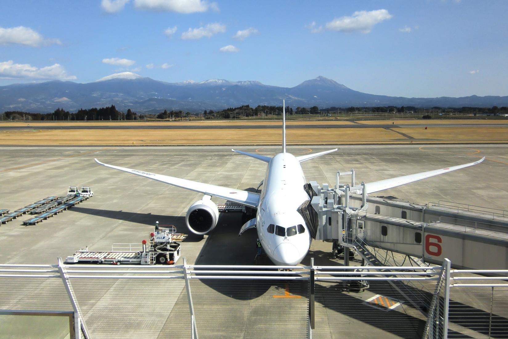 가고시마 공항에서 시간을 보내는 법 5선-0