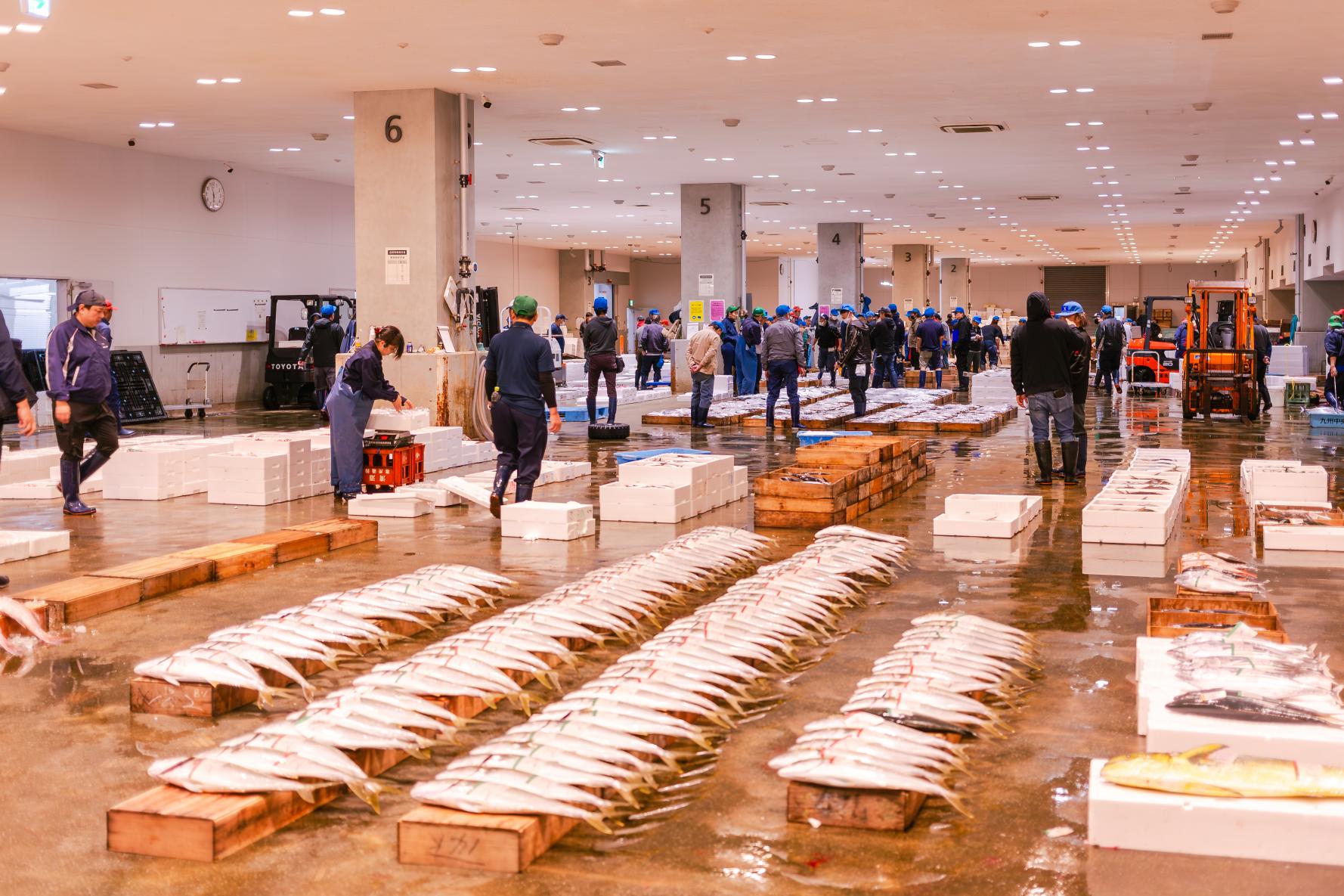 긴코만을 ‘보고・알고・먹자’   어시장에서 가고시마의 제철 생선을 체감해보자-0
