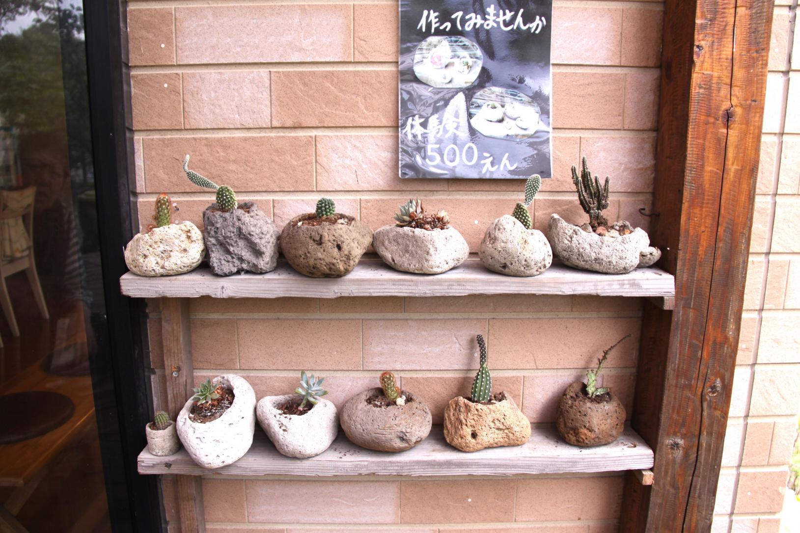 카페에서 잠시 휴식을 취하면서 사쿠라지마를 느껴보는, 만들기 체험-2