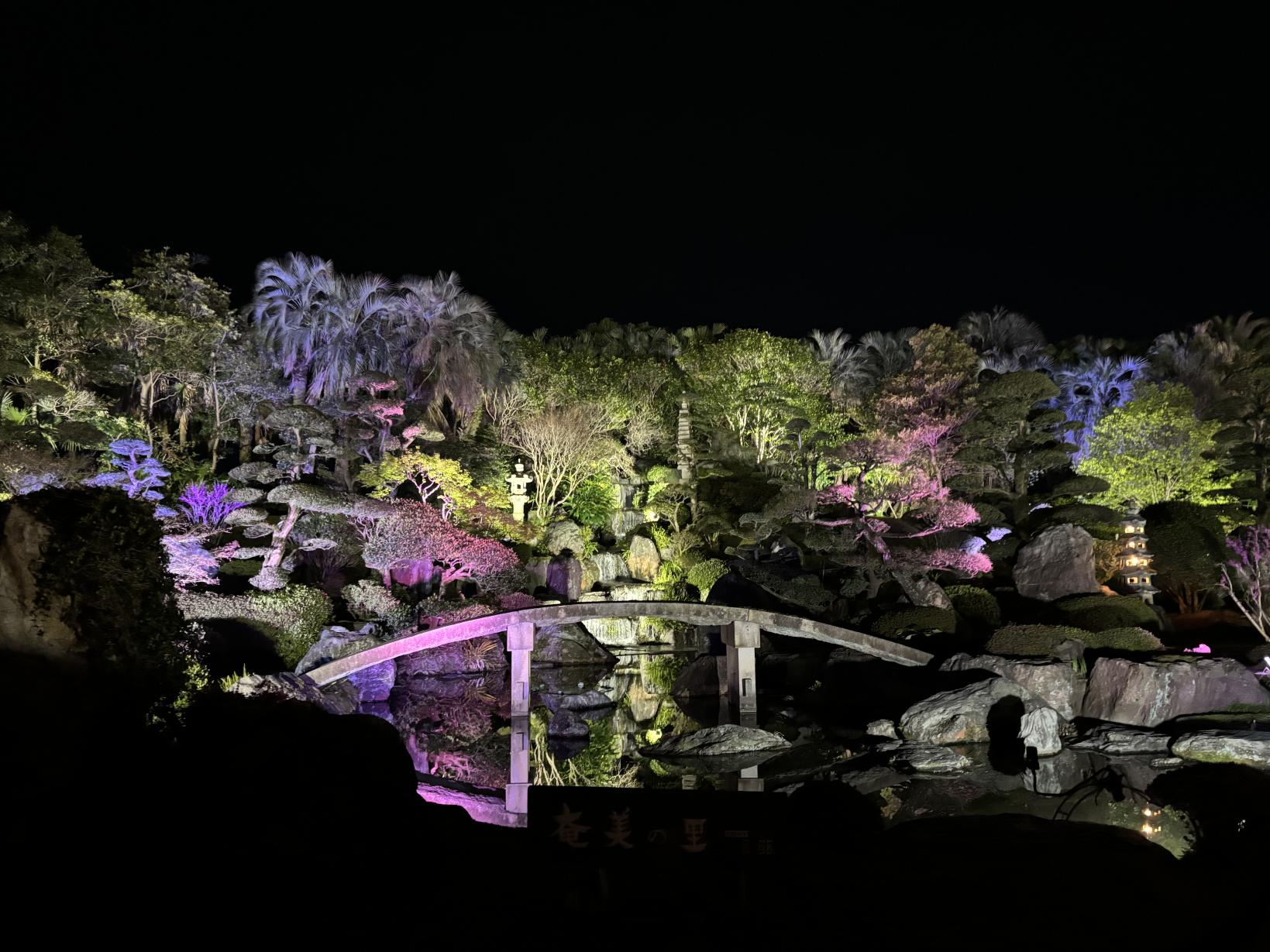鹿児島市内で開催される季節のイベント-0