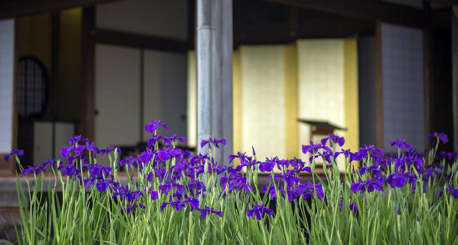 雨の日にこそおすすめしたい！仙巌園-1