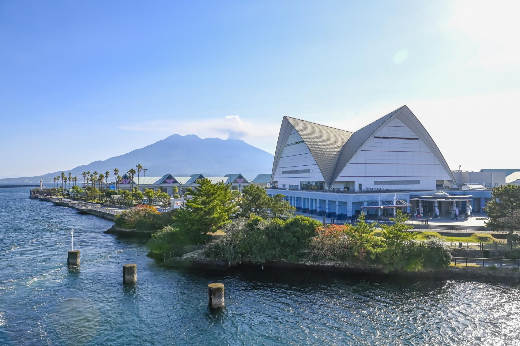 いおワールドかごしま水族館-3
