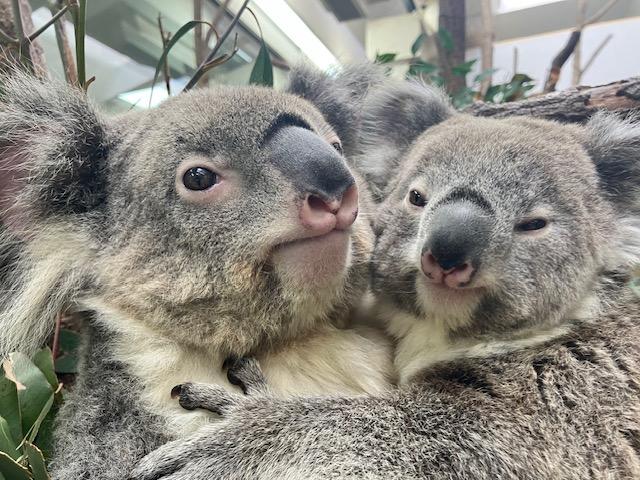 平川動物公園-0