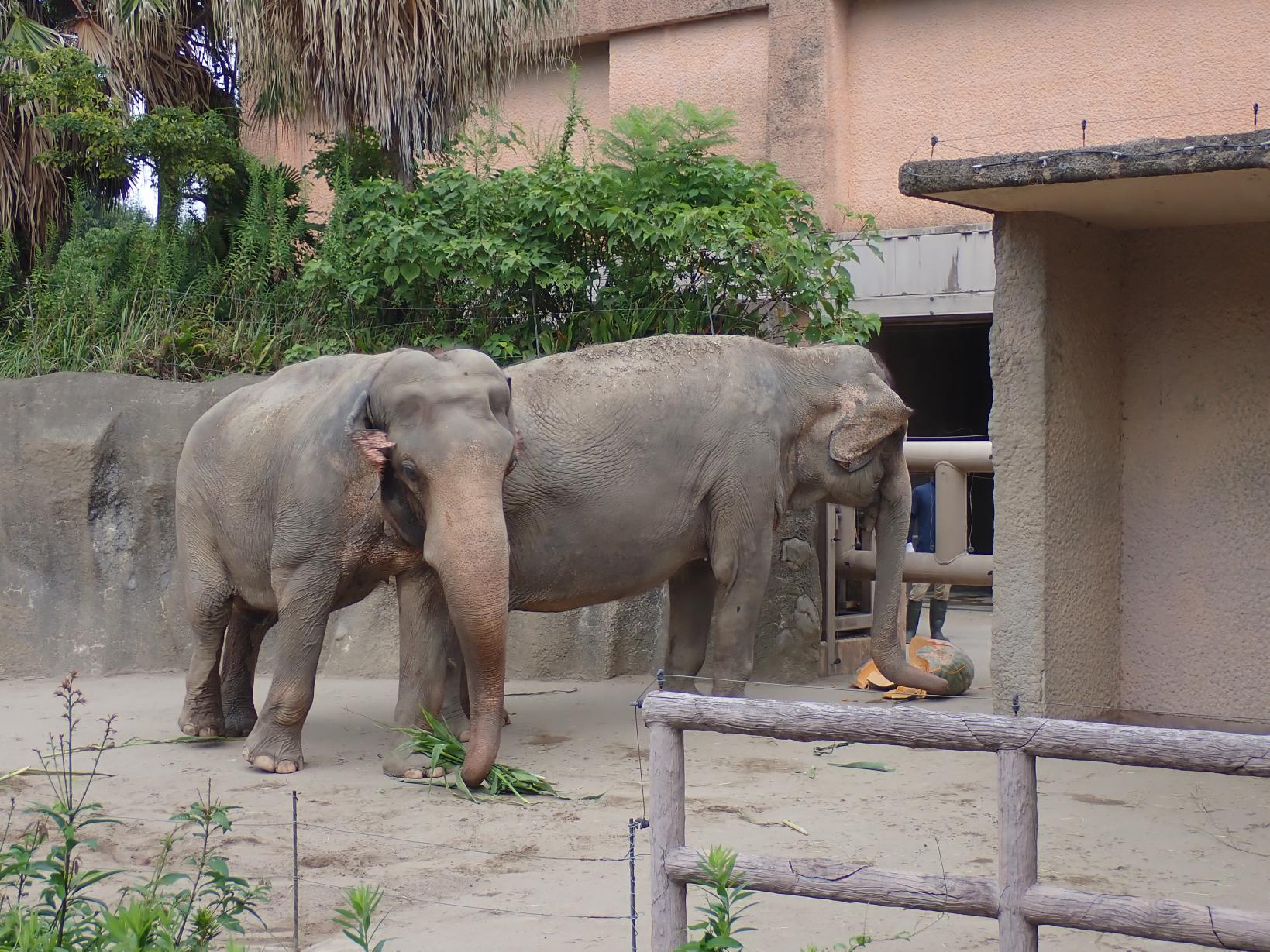 平川動物公園-3