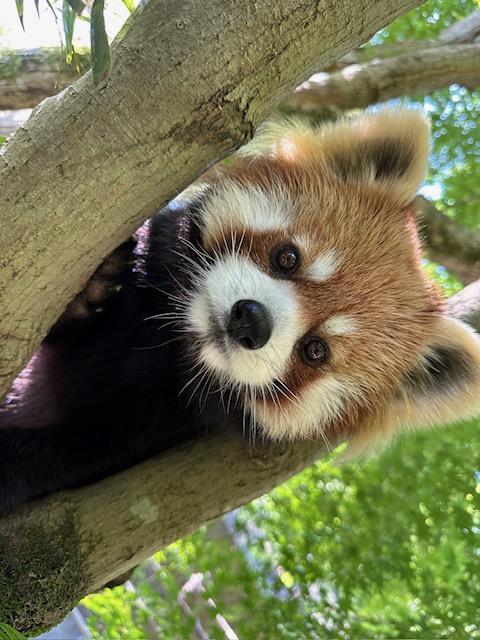 平川動物公園-2