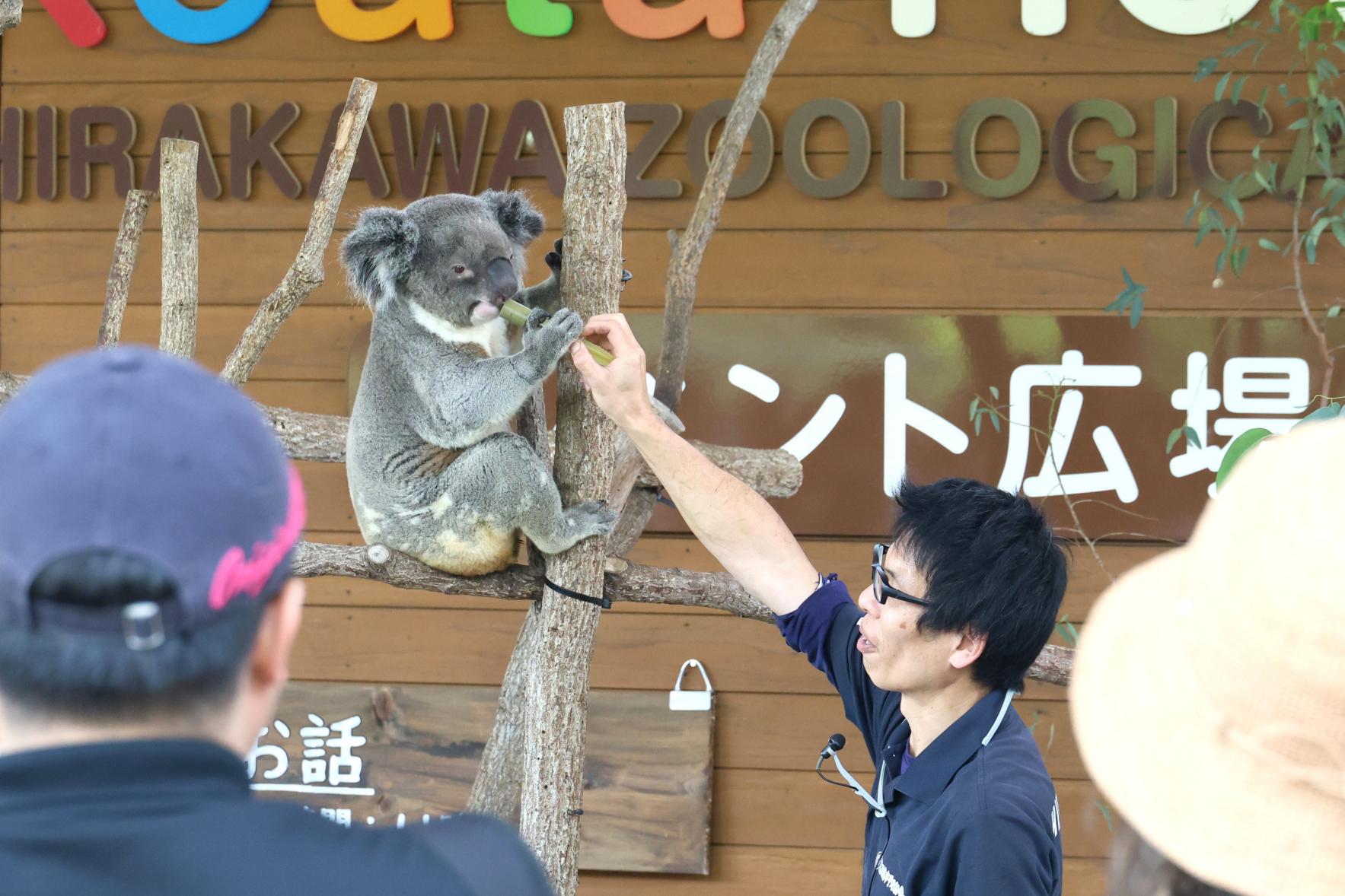 平川動物公園-1