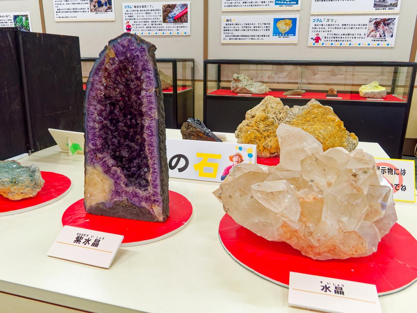 鹿児島県立博物館の秋イベントで楽しく学ぶ！-0