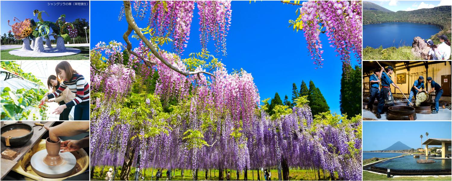 從鹿兒島市出發到周邊的觀光景點！
～周邊地區一日遊魅力大剖析～-1