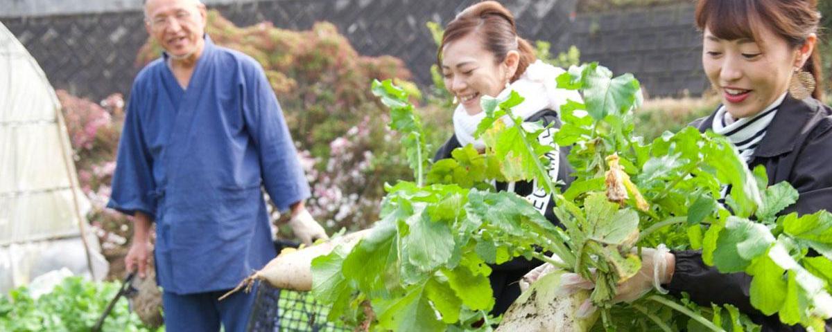 鹿児島の「実り」を収穫！ 自然や文化、人々との体験交流を楽しむグリーン・ツーリズム-1