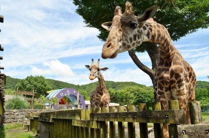 自然と動物に癒されるネイチャーコース