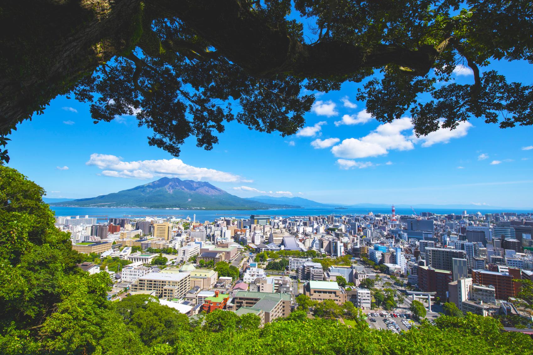 城山（城山展望台・城山自然遊歩道）