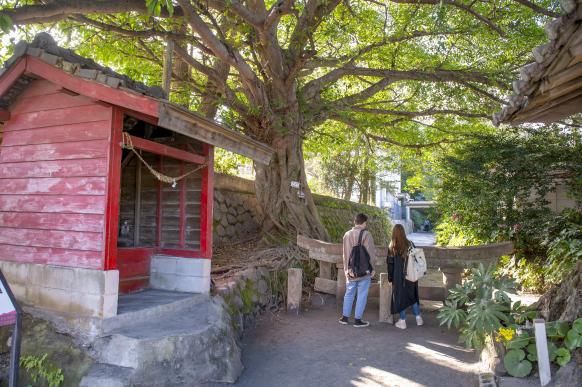 Kurokami Buried Torii（Shrine Gate）-1