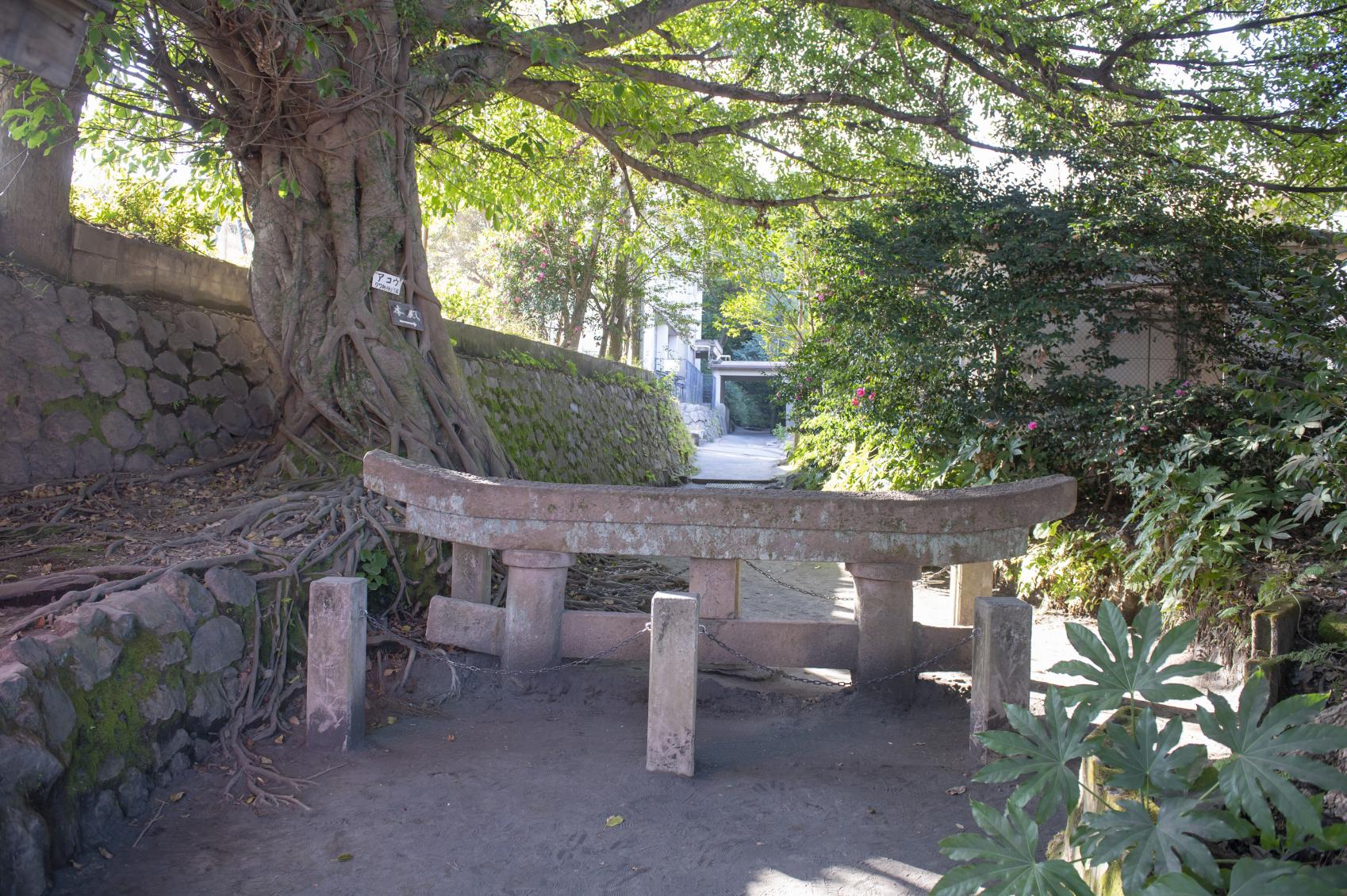 Kurokami Buried Torii（Shrine Gate）