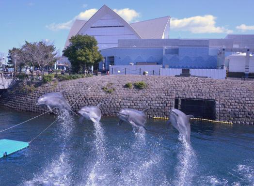 Io World Kagoshima City Aquarium-5