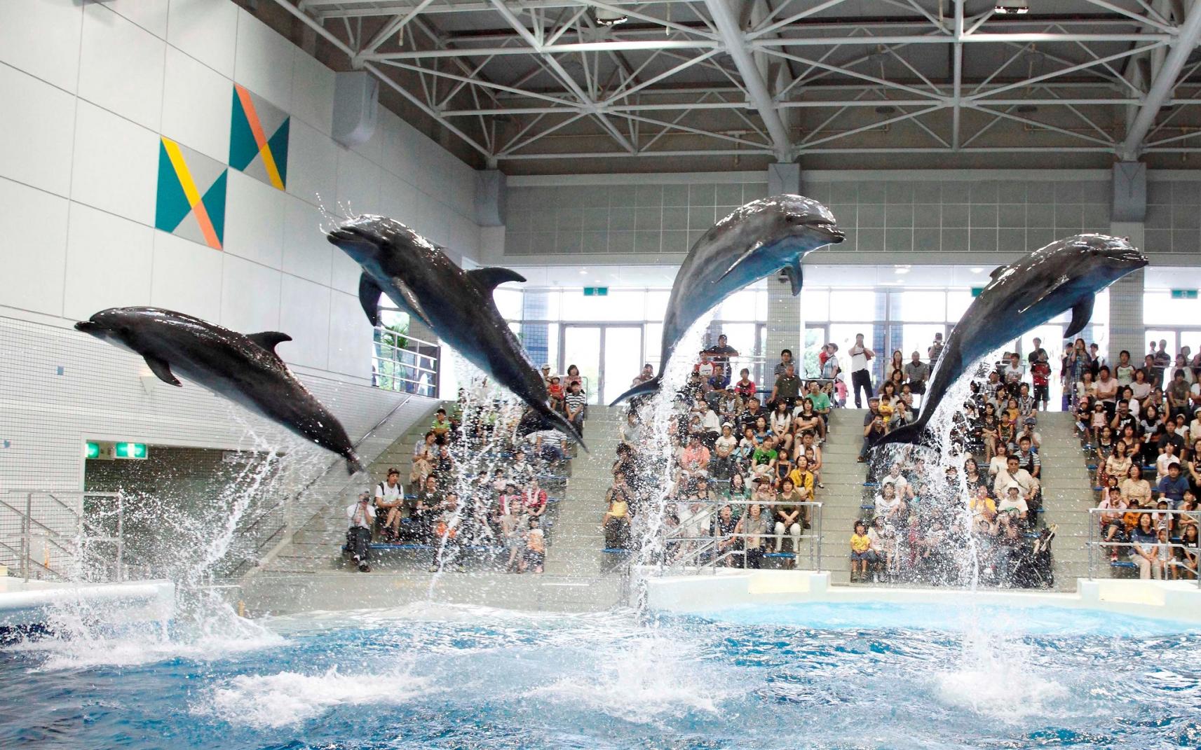 Io World Kagoshima City Aquarium-1