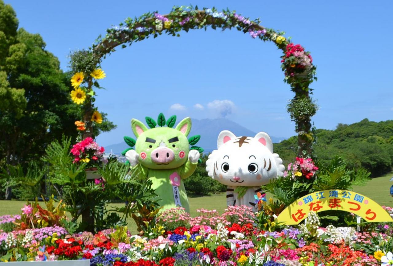 Kinkowan Park Flower Festival-1