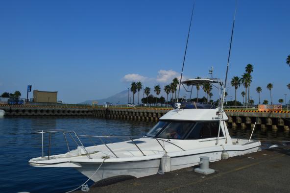 Kagoshima city Blue Marine Cab Dolphin watching & Cruising-2