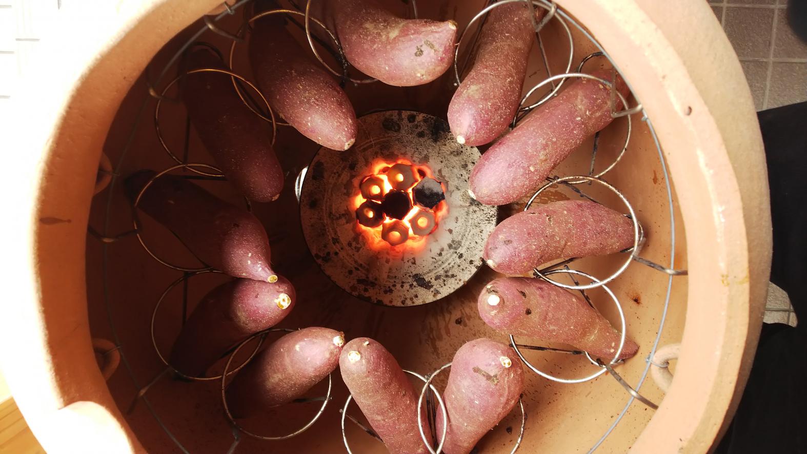 萨摩壶烤红薯TODOROKI