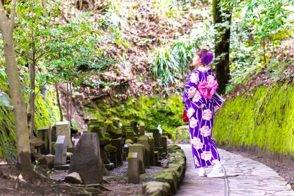 Strolling in Kimono with English Guided Tour-0
